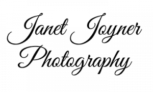 Janet Joyner Photography logo, black script writing