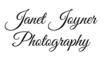 Janet Joyner Photography logo, black script writing