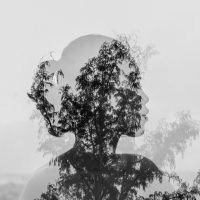 Image of a woman's face behind a tree